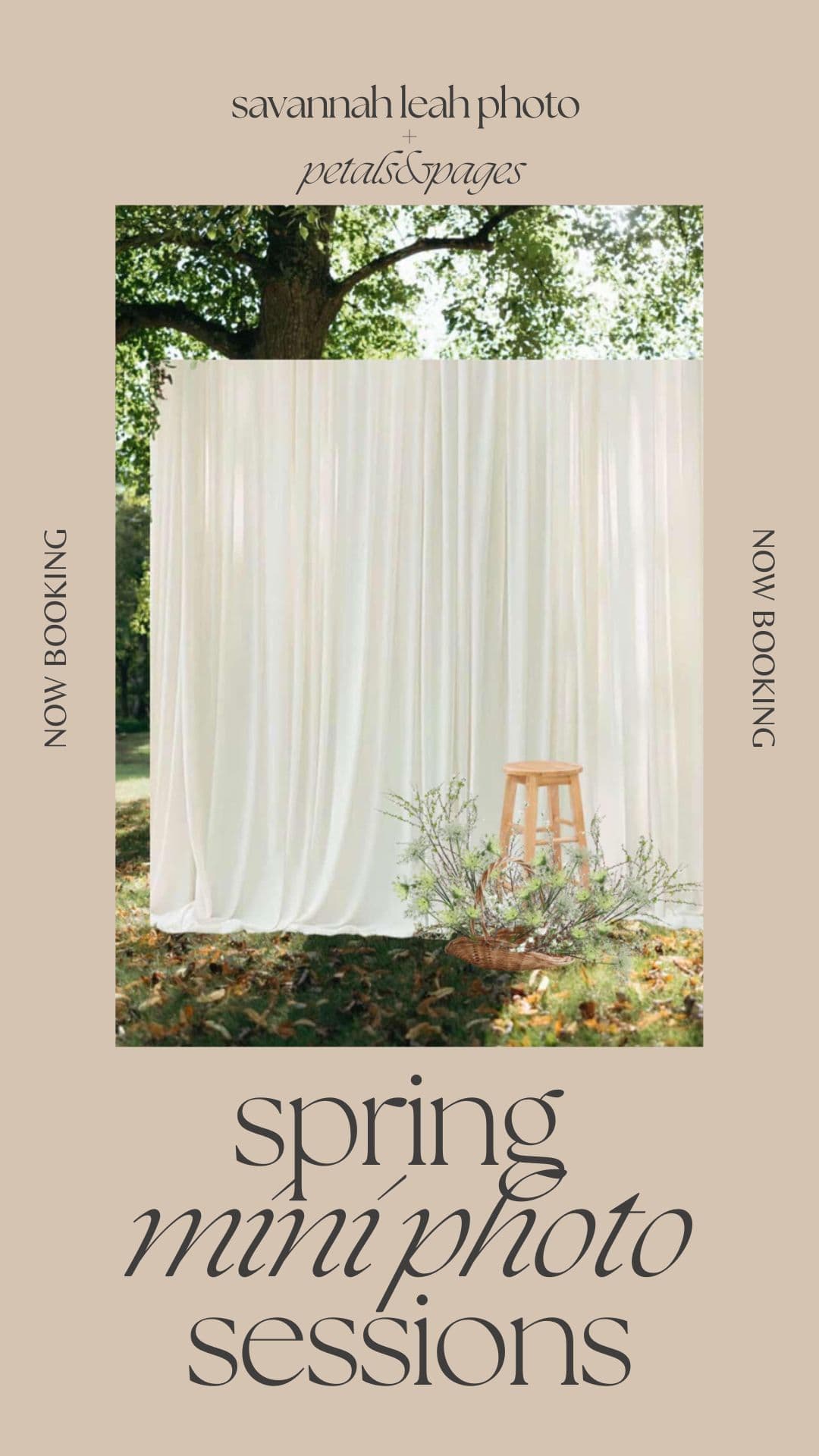 Outdoor Spring Minis